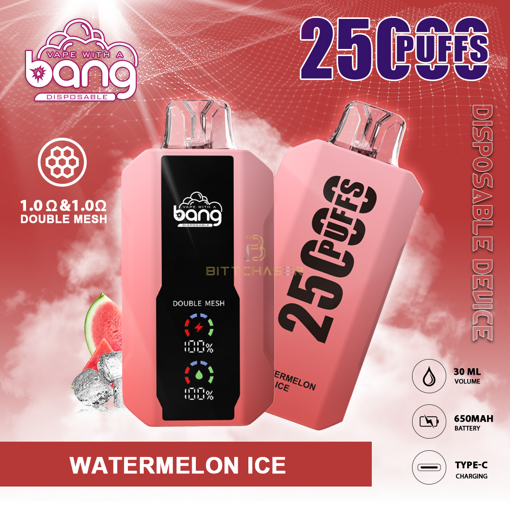 Bang 25000: 25K Puffs Disposable Vapes