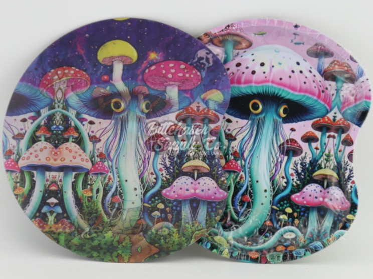 Two colorful coasters with fantasy mushroom designs on a white background