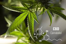 Understanding the different cannabinoids