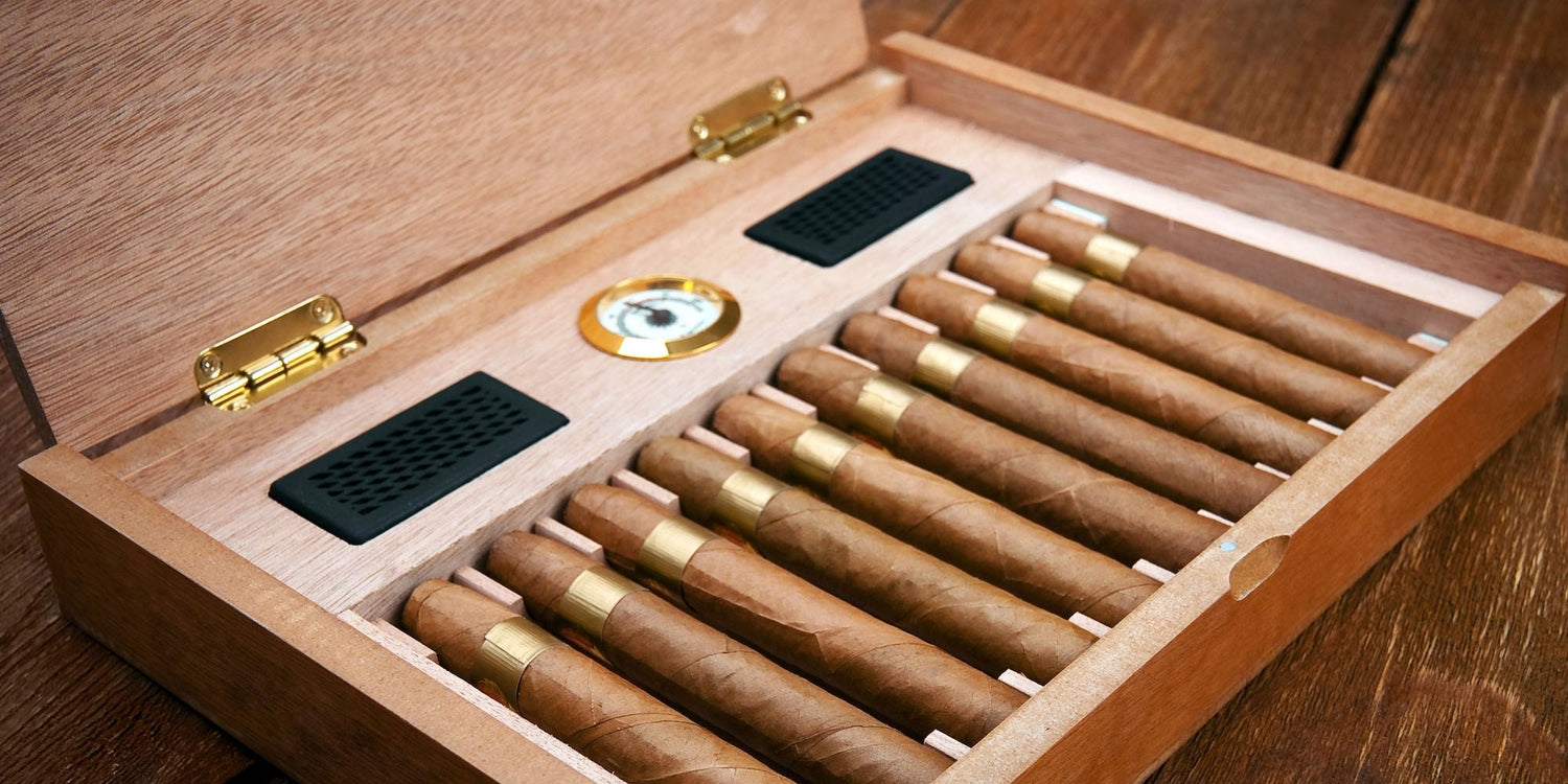 Cigar Humidors