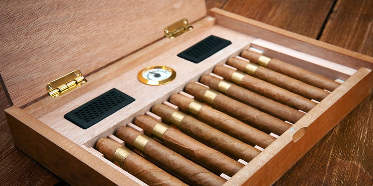 Cigar Humidors