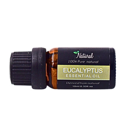 Natural Eucalyptus Essential Oil - Pure and Aromatic Oil for Aromatherapy and Wellness - Bittchaser