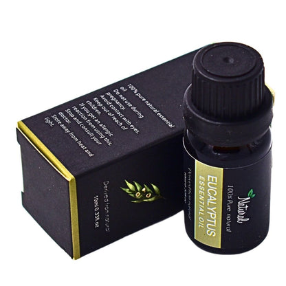 Natural Eucalyptus Essential Oil - Pure and Aromatic Oil for Aromatherapy and Wellness - Bittchaser