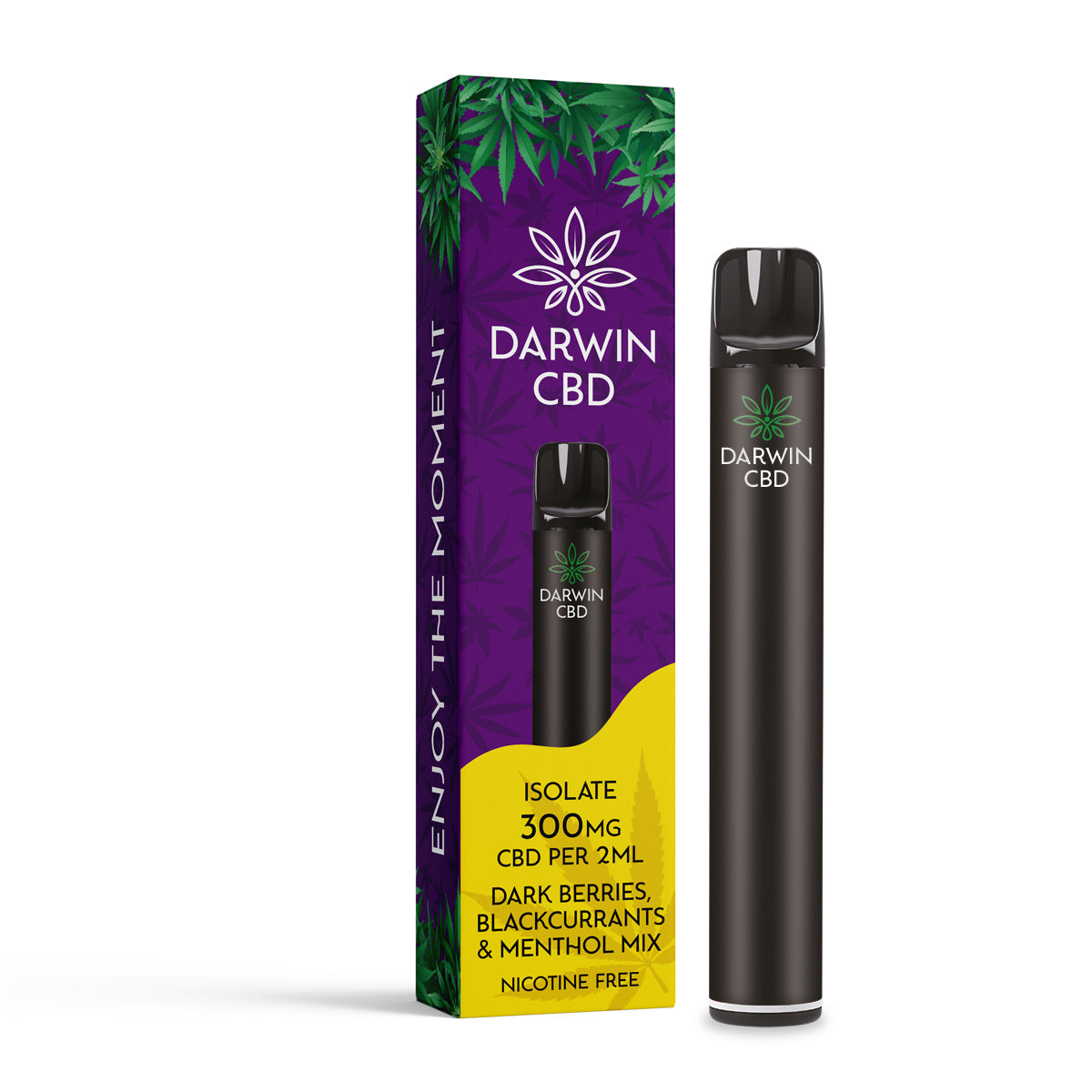 Darwin CBD 300mg CBD Isolate Vape Kit - Bittchaser Smoke Shop