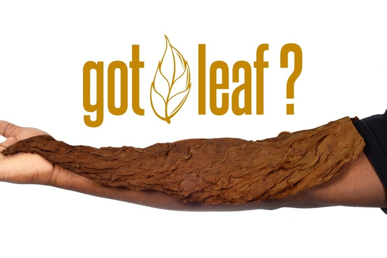 Fronto Leaf Master Cigar Wrapper - Palma - Bittchaser