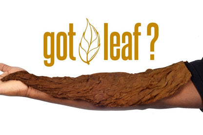 Fronto Leaf Master Cigar Wrapper - Palma - Bittchaser